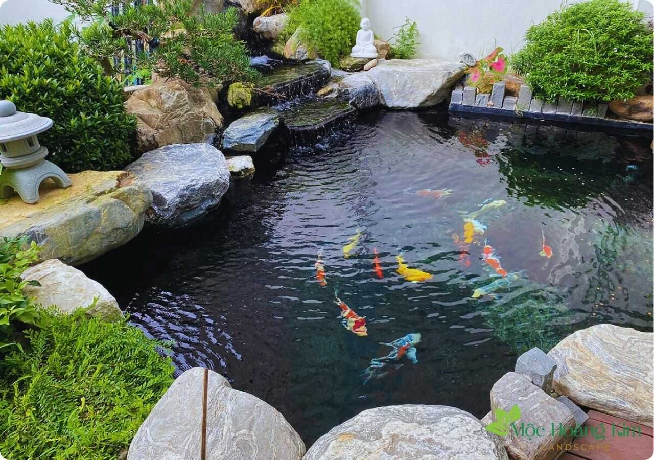Thiết Kế Thi Công Hồ Cá Koi Tại Quảng Ngãi 
